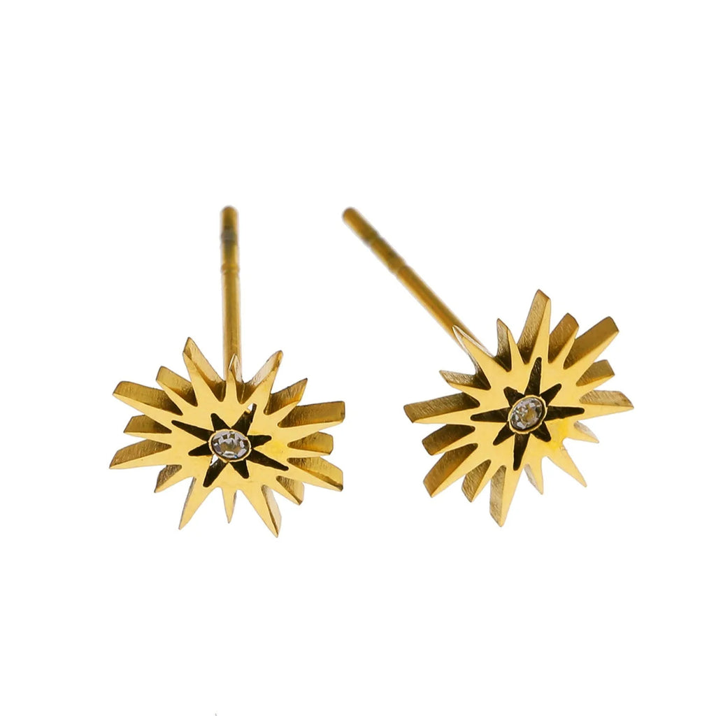 Amnisty Stud Earrings