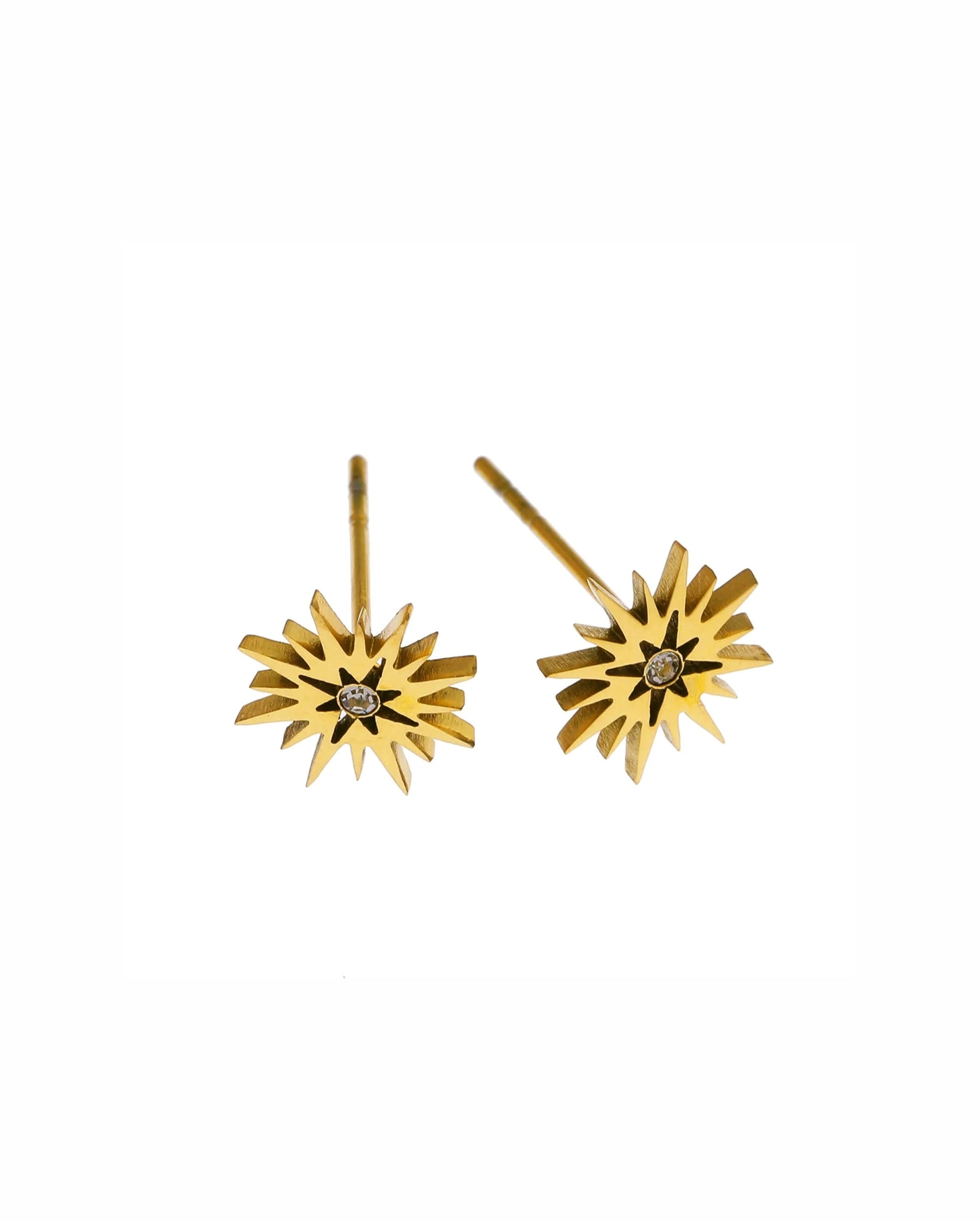 Amnisty Stud Earrings