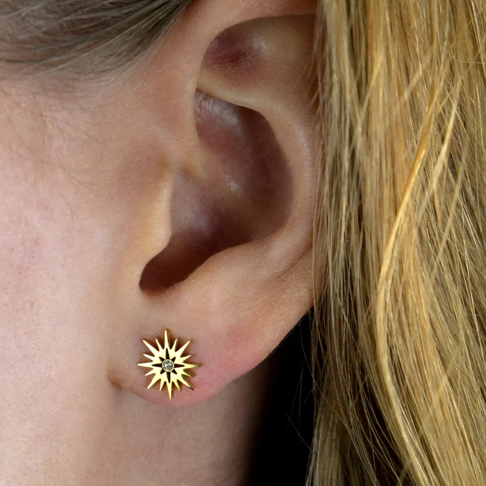 Amnisty Stud Earrings