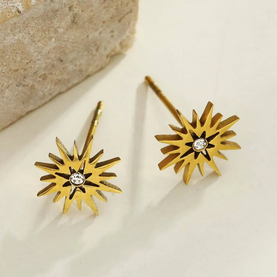 Amnisty Stud Earrings